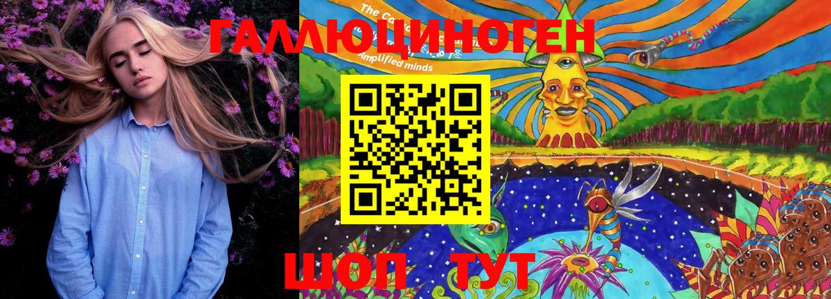 Галлюциногенные грибы GOLDEN TEACHER  Галлюциногенные грибы мухоморы  Малгобек  что такое наркотик  Вход с VPN 