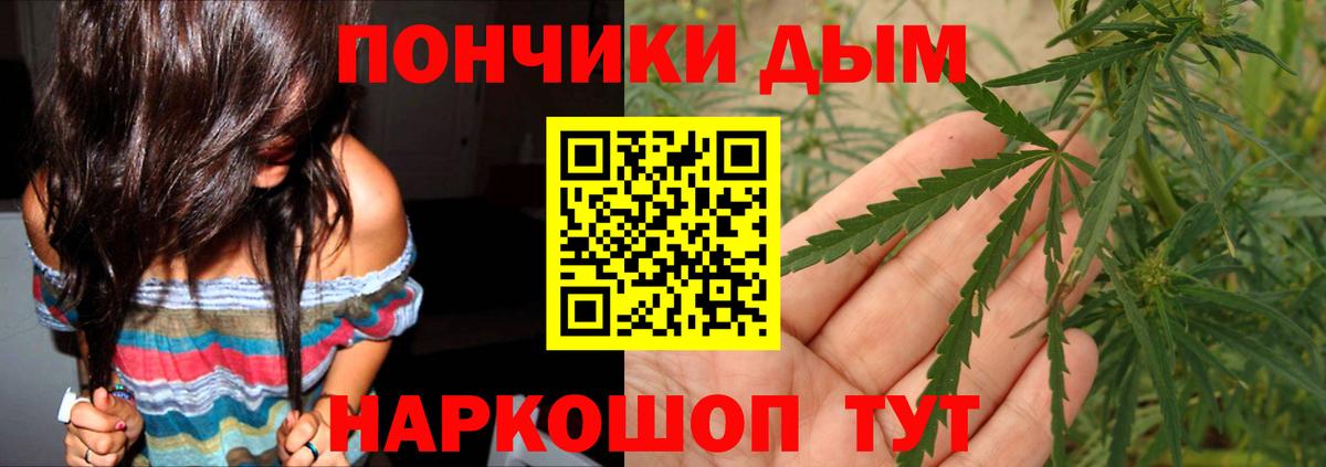 Бошки марихуана сатива Малгобек